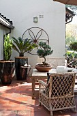 Wood and wicker furniture on terrace with Bonsai tree and exotic potted plants