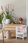 Wicker armchair with patterned scatter cushions in front of house plants and Oriental teapot on top of contemporary chest of drawers