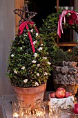 Small, festively decorate potted tree and lit candles in tealight holders