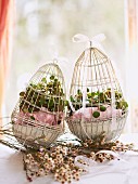 Cress in wire Easter eggs with ribbons on table in front of window