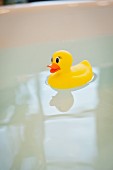 Close-up of a rubber duck in bathtub water against blurred background