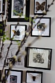 Framed pictures of facial features and insects behind blurred flowering branches in foreground