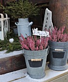 Heather and Swedish welcome sign in zinc pots on snowy wooden steps in front of rustic decorations