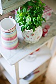 Basil in floral china jug on side table