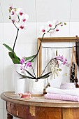 Potted orchids and jewellery rack in gold frame on damaged, antique console table