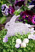 Felt Easter bunny decoration in pot of mind-your-own-business plant