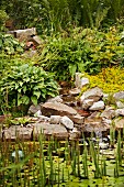 Waterfall lined with rocks falling into pond with aquatic plants