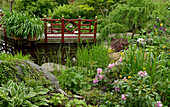 Garden pond with small bridge