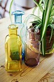 Colourful apothecary bottles next to potted houseplant