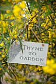Sign hung on branch of yellow flowers in garden