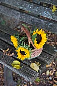 Basket of sunflowers and fallen leaves on weathered wooden bench outdoors