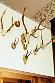 Antlers of different sizes on mezzanine balustrade wall with row of small house ornaments on top