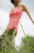 Woman strolling through tall grass in meadow