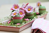 Pink daisies in green-dyed egg shells arranged on wooden tray