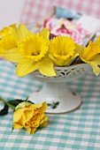 Narcissus flowers in ceramic bowl