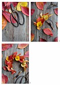 Hand-crafting a wreath of autumnal cherry leaves