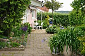 Foliage plants and potted agapanthus on terrace with concrete flags in front of seating area outside house