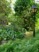 Vintage street lamp in natural-style garden with elephant-eared saxifrage and ferns