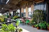 Lush greenery on urban balcony with various planters and seating area against loft-apartment façade