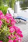 Pink flowering oleander on a wooden jetty with a comfortable wooden sun lounger with cushions by the water