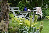 Grey-painted, wooden table and chairs on garden lawn surrounded by foliage plants