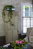 Potted ivy in zinc pot on antique patinated cupboard, bouquet of leaves and flowers on table in foreground
