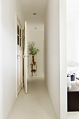 Narrow white corridor leading to vase of leaves on plant stand; open doorway to one side