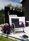 White-painted bamboo chair next to potted violas and petunias on sunny terrace against dark screen