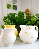 Yellow and white jugs, one with polka dots in front of potted herbs