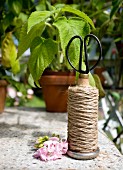 Vintage reel of twine and scissors on stone surface in front of seedling in terracotta plant pot