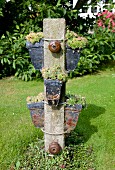 Pots of sempervivums attached to stone pillar in garden