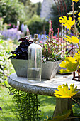 Vintage Petroleumflasche und bepflanzter Blumenkasten auf Stein Gartentisch in antik griechischem Stil