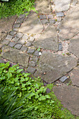 Path paved with stone flags and cobbles