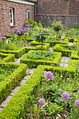Knot garden with clipped hedges and flowering alliums
