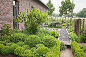 Formgeschnittene Buchsbüsche und gekiester Weg im Vorgarten, Bauernhaus aus Ziegel