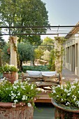 Mediterranean wooden deck with potted plants and rustic tree-trunk sofa