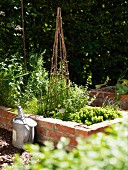 Sunny raised bed with brick surround, cane obelisk and zinc watering can
