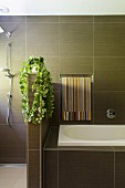 Modern elegant bathroom with brown tiles and house plant on half-height partition screening shower area