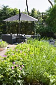 Cosy, elegant seating area in garden with grey modern rattan furniture, parasol and bed of green plants