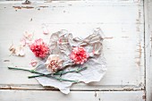 Rosa Nelkenblütenköpfe und Stiele auf Papier und weißem Holzuntergrund