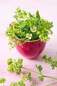 Lady's mantle and strawberry flowers in china bowl