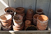 Collection of terracotta plant pots in vintage wooden crate