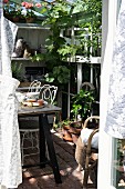 Breakfast table in front of shelves of potted plants in sunny greenhouse