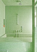 Bathroom with pale green mosaic tiles on walls, ceilings and installations
