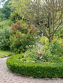 Curved clipped hedge surrounded flower bed in summer garden