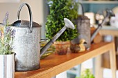 Watering cans, lavender and potted plant on wooden bench