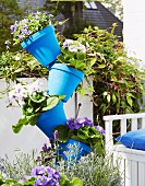 Blue flower pots placed crookedly on a broom handle on a balcony to save space