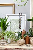 Verschiedene Grünpflanzen, Flaschen aus Ton, Wandbild & Bilderrahmen als Dekoration auf Holztisch