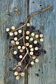 Wine corks and dried grapes on vine on wooden surface