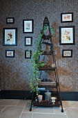 Ornaments and potted ivy on pyramid shelving flanked by pictures on patterned wallpaper